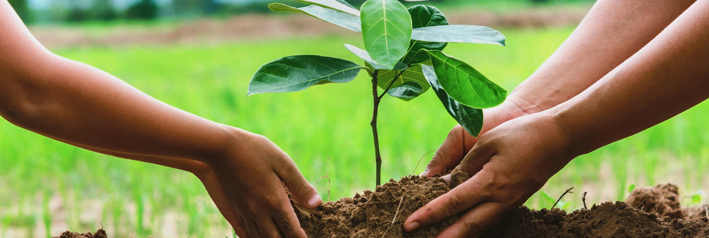 Dia da Educação Ambiental