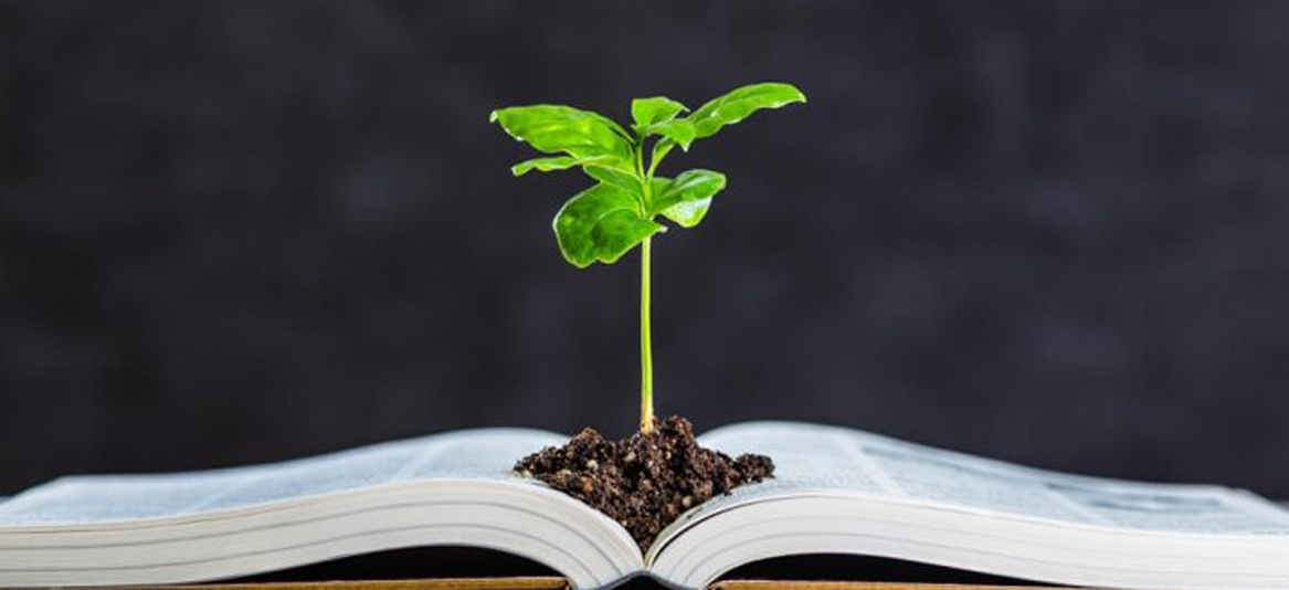 Dia da Educação Ambiental