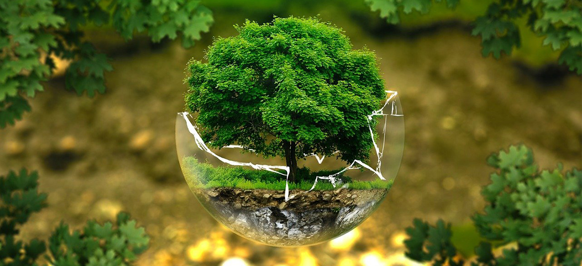 economia verde