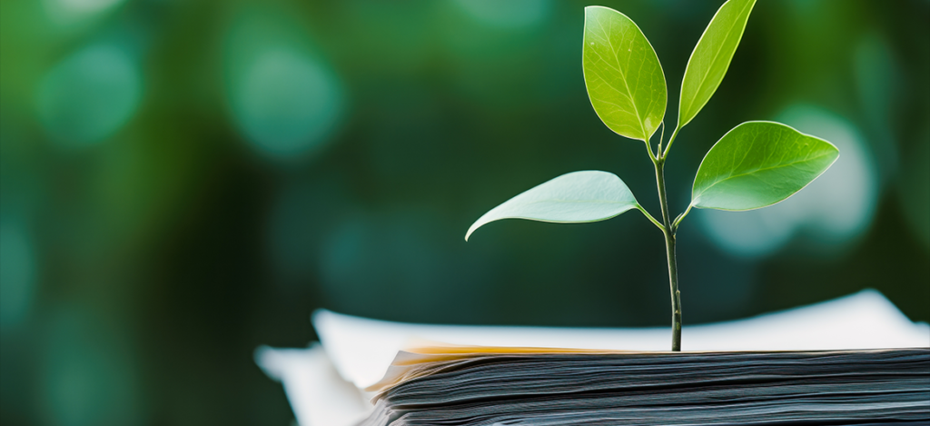 fases do licenciamento ambiental