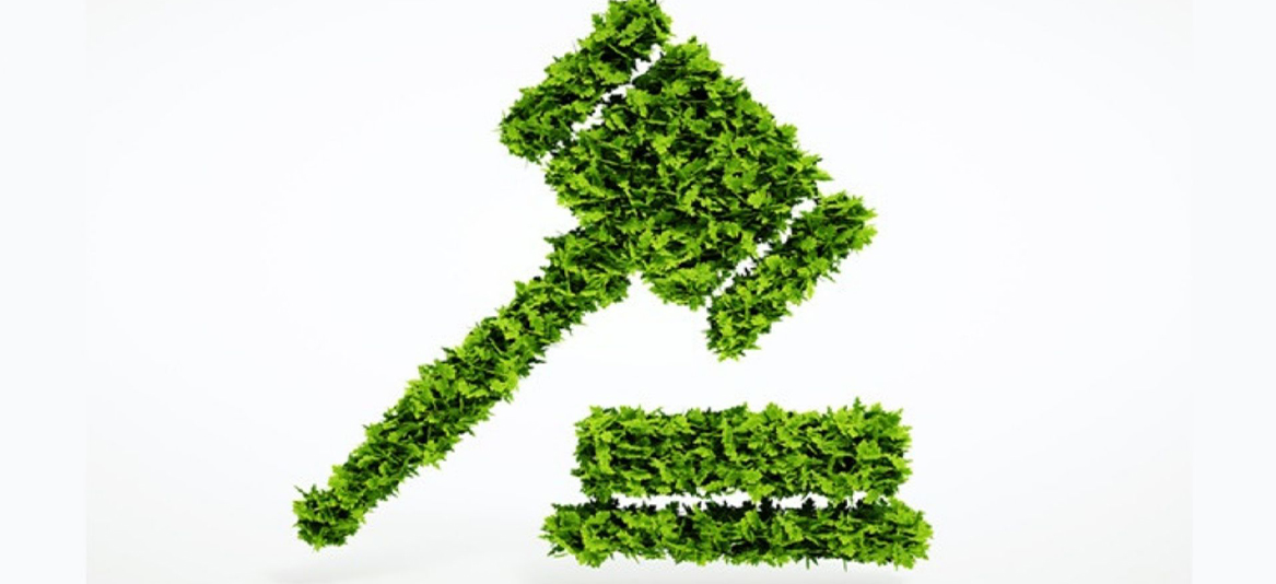 crime ambiental