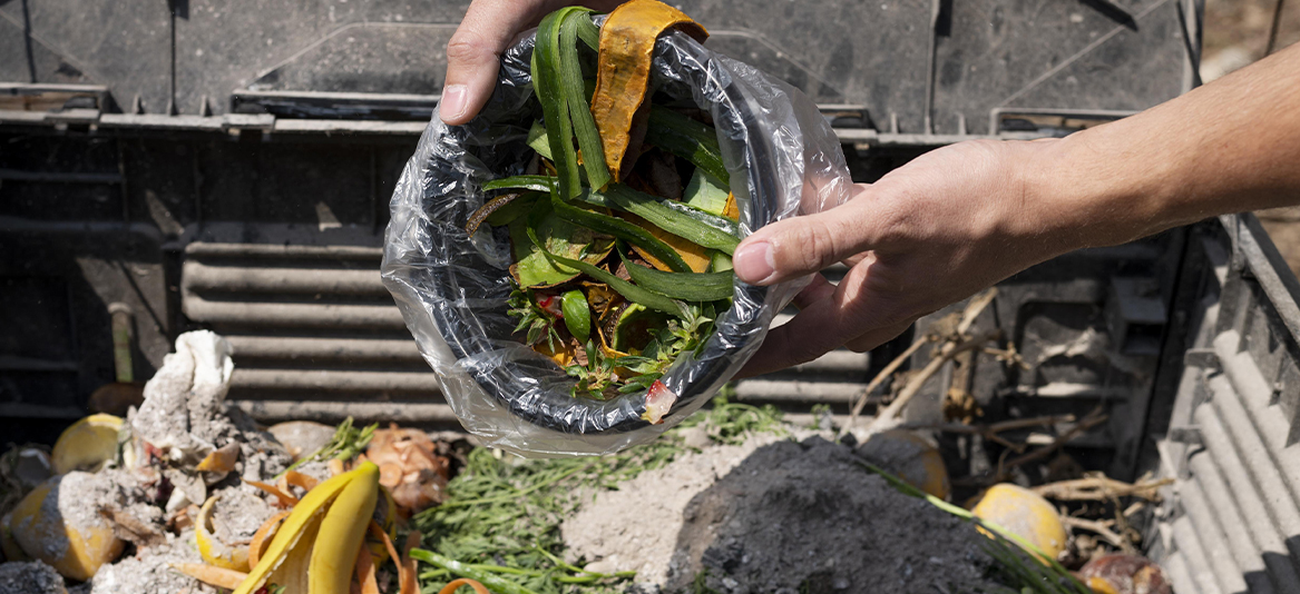 compostagem de resíduos